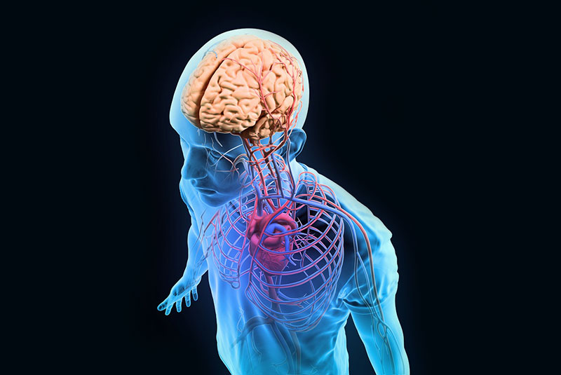 Ko pride do poškodb in krvavitev ...